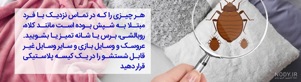 شپش موی سر چیست؟ (علت، علائم و درمان) + عکس شپش | زیمالب شپش موی سر چیست؟ (علت، علائم و درمان) + عکس شپش | زیمالب