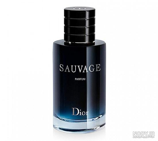 عطر ادکلن دیور فارنهایت له پرفیوم | Dior Fahrenheit Le Parfu… عطر ادکلن دیور فارنهایت له پرفیوم | Dior Fahrenheit Le Parfu…