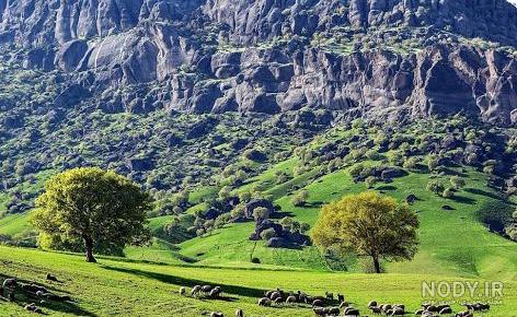 عکس از طبیعت زیبای لرستان - عکس نودی عکس از طبیعت زیبای لرستان - عکس نودی