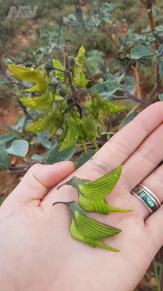 عکس از چاه فاضلاب عکس از چاه فاضلاب