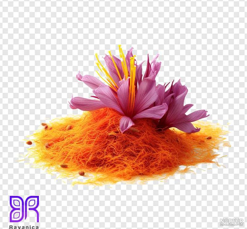 عکس خانه های زعفرانیه عکس خانه های زعفرانیه