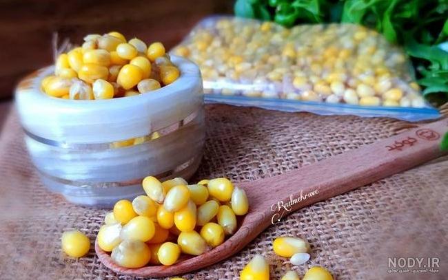 عکس ذرت مای - عکس نودی عکس ذرت مای - عکس نودی