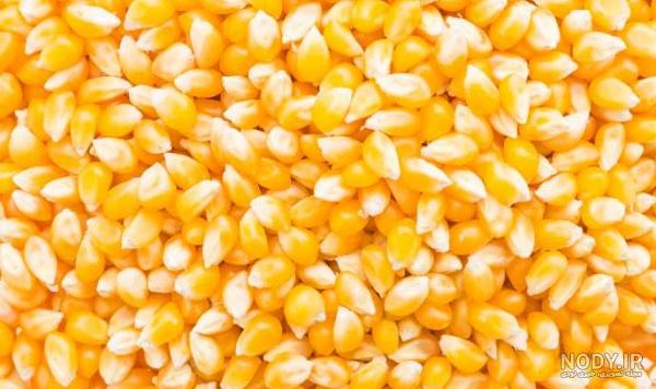 عکس ذرت مای - عکس نودی عکس ذرت مای - عکس نودی