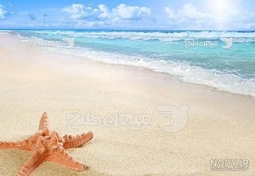 عکس طبیعت ساحل دریا عکس طبیعت ساحل دریا