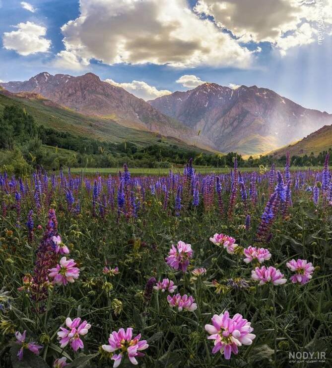 عکس طبیعت لرستان برای پروفایل عکس طبیعت لرستان برای پروفایل