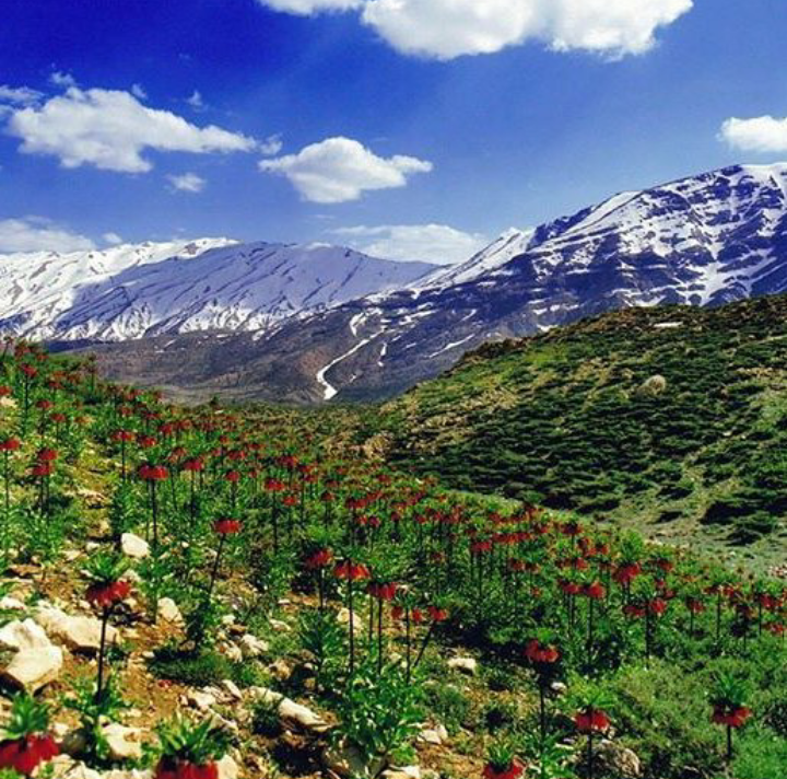 عکس طبیعت لرستان جدید عکس طبیعت لرستان جدید