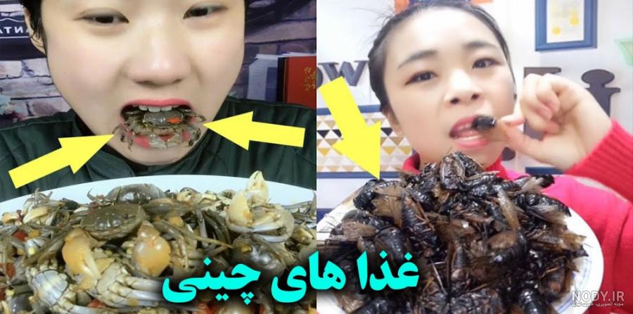 عکس غذا چین - عکس نودی عکس غذا چین - عکس نودی