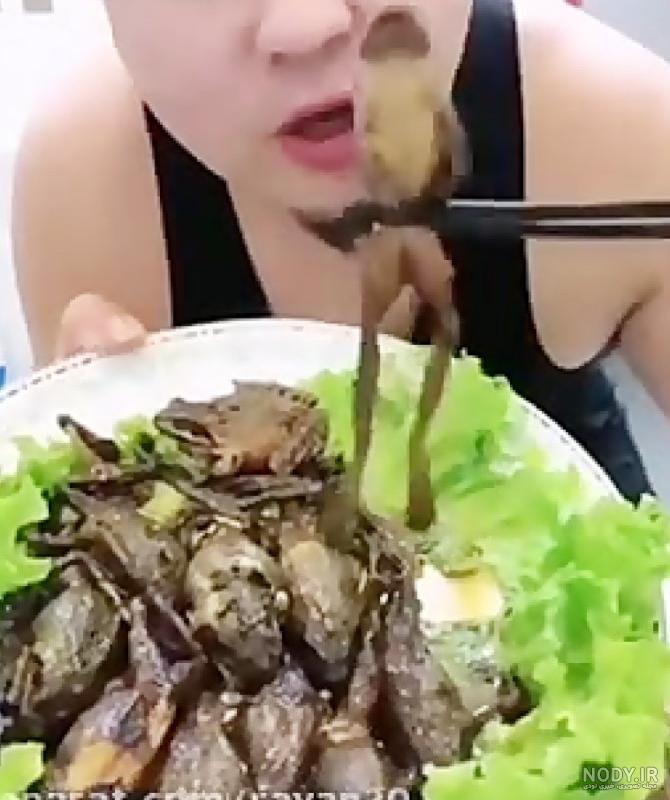 عکس غذا چینی - عکس نودی عکس غذا چینی - عکس نودی