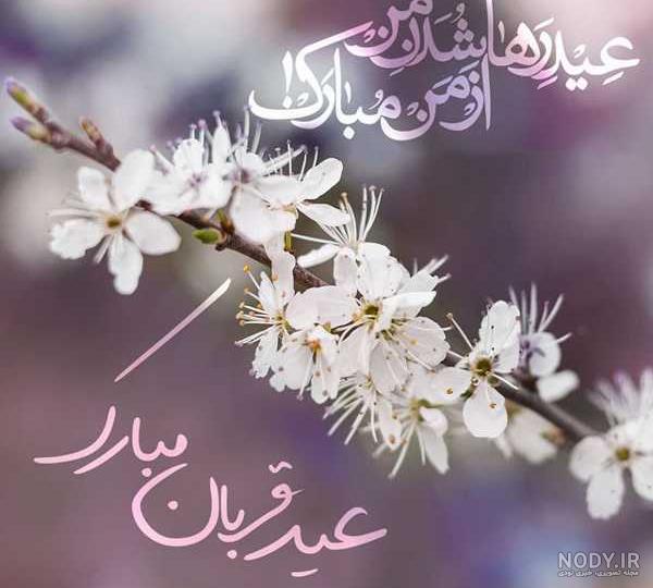 عکس و متن زیبا برای عید قربان عکس و متن زیبا برای عید قربان