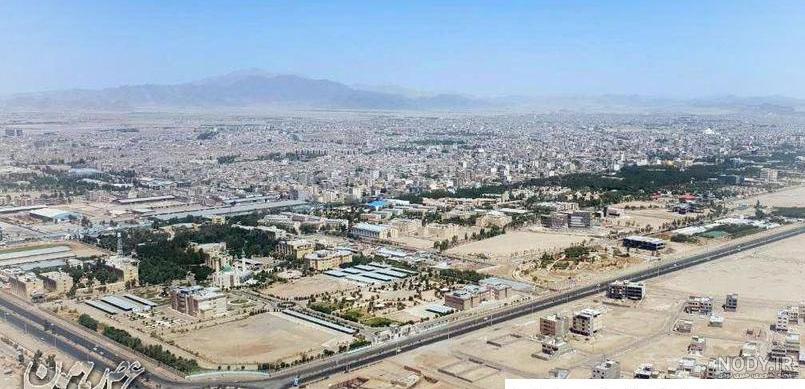 عکس مرغ عشق ماده پیر