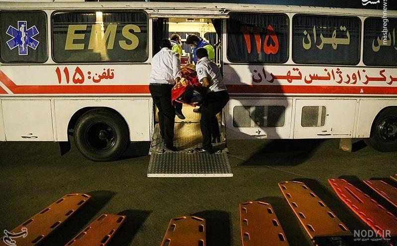 عکس مرغ عشق ماده پیر
