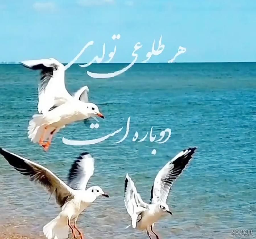 عکس پروفایل ظهرتون بخیر