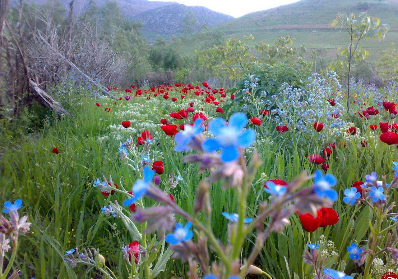 عکسهای طبیعت لرستان عکسهای طبیعت لرستان