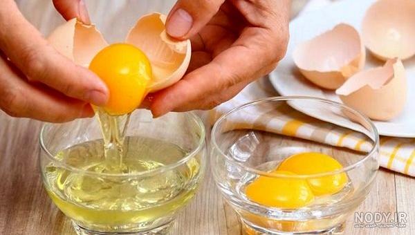 فواید شپش برای مو | كنج كونج فواید شپش برای مو | كنج كونج