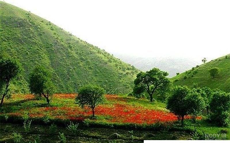 معجزه بهار در بام طبیعت ایران/ نفس کشیدن در هوای بهشتی لرستان ... معجزه بهار در بام طبیعت ایران/ نفس کشیدن در هوای بهشتی لرستان ...