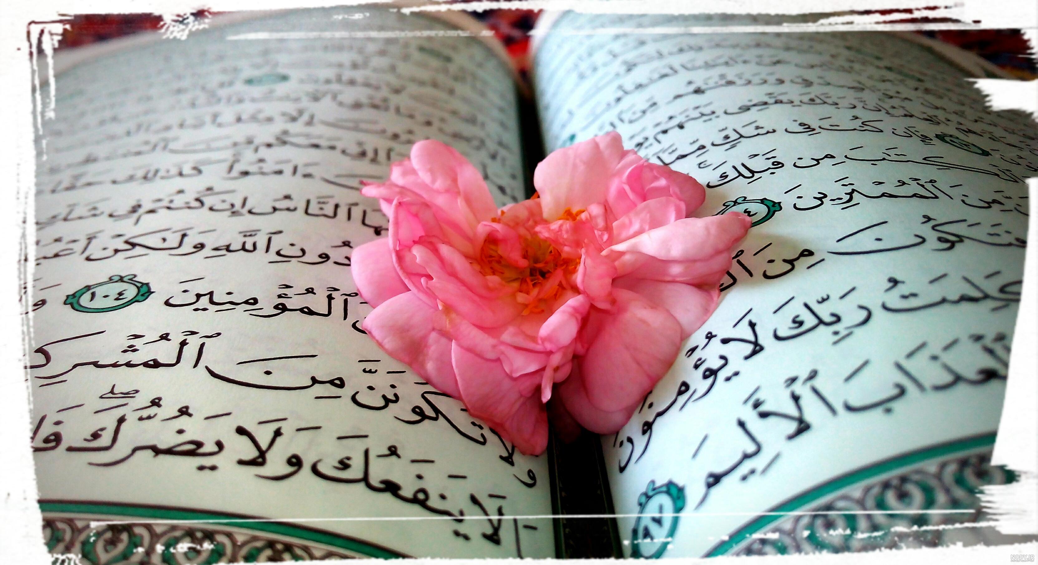 25 عکس قرآن و گل باکیفیت برای پروفایل و اینستاگرام