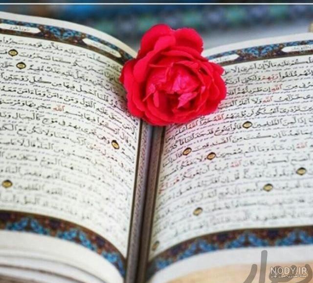 25 عکس قرآن و گل باکیفیت برای پروفایل و اینستاگرام