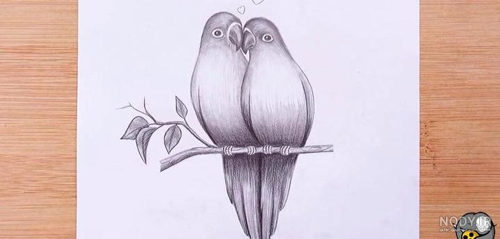 آموزش طراحی پرنده