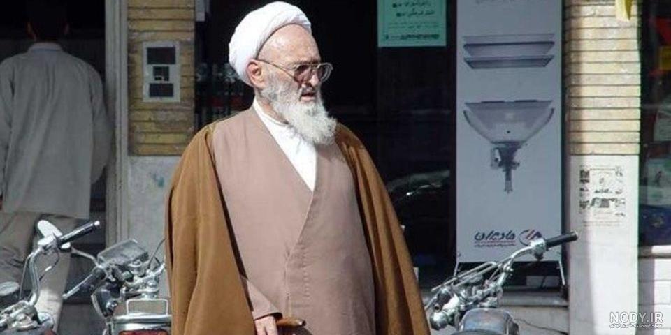 زندگینامه علامه حسن‌زاده آملی از کودکی تا کهنسالی
