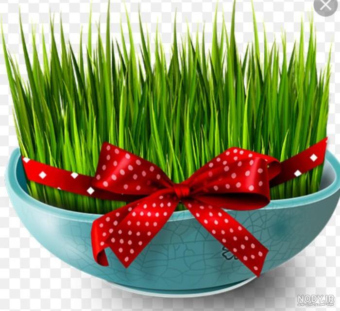 سبزه عید - عکس ویسگون سبزه عید - عکس ویسگون