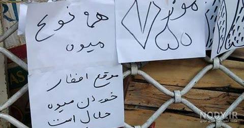 عکس های خنده دار عکس های خنده دار