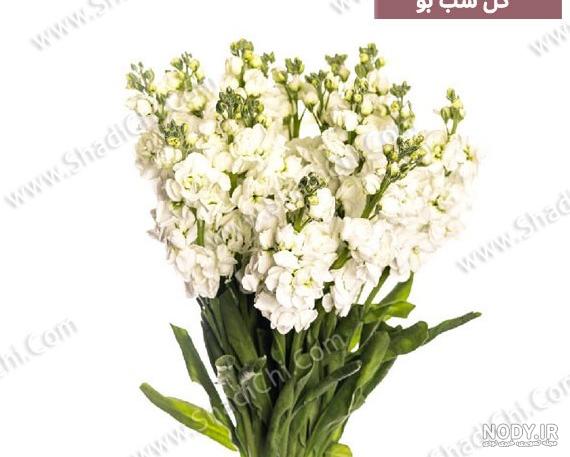 عکس دستبند دخترانه شیک و جدید