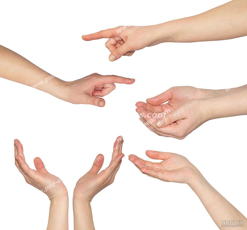 عکس دسته گل زیبا