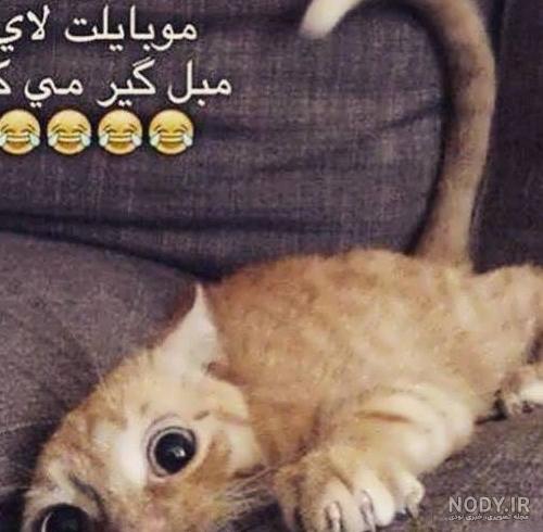 عکس های دیدنی خنده دار