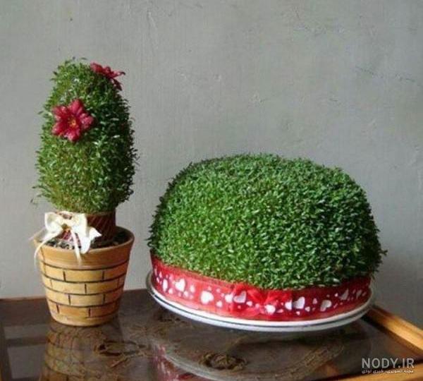 عکس سبزه عید - مدل 24 عکس سبزه عید - مدل 24