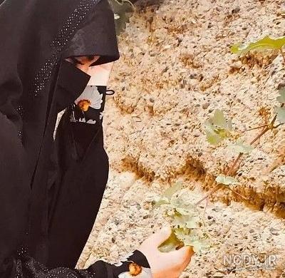 عکس فیک حجابی عکس فیک حجابی