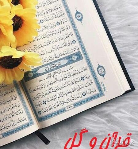 عکس قران با گل رز