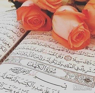 عکس قران و گل رز - کامل (مولیزی)