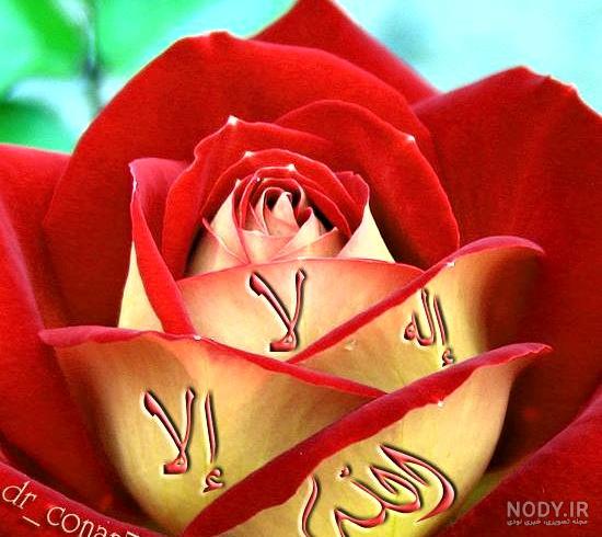 عکس لا اله الا الله الملک الحق المبین