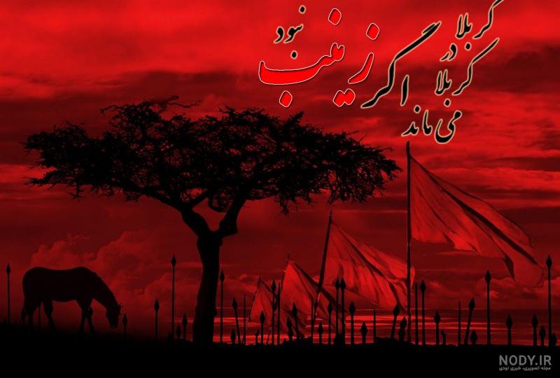 عکس نوشته اگر زینب نبود - عکس نودی