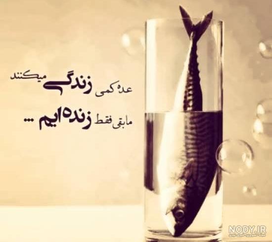 عکس نوشته کارتونی زیبا و جالب برای پروفایل عکس نوشته کارتونی زیبا و جالب برای پروفایل