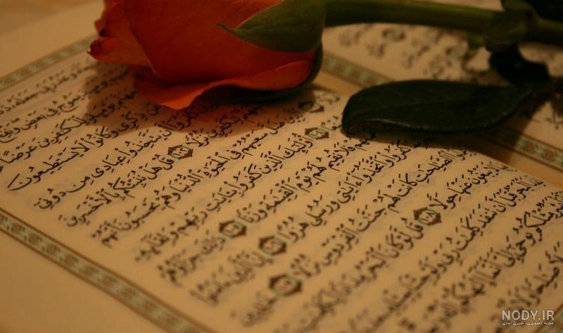 عکس پروفایل گل لای قران