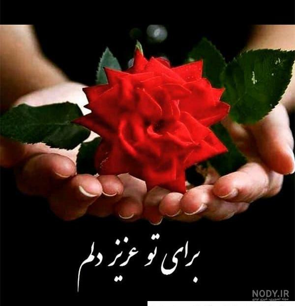 عکس گل برای پروفایل و مجموعه اشعار عاشقانه با مضمون گل