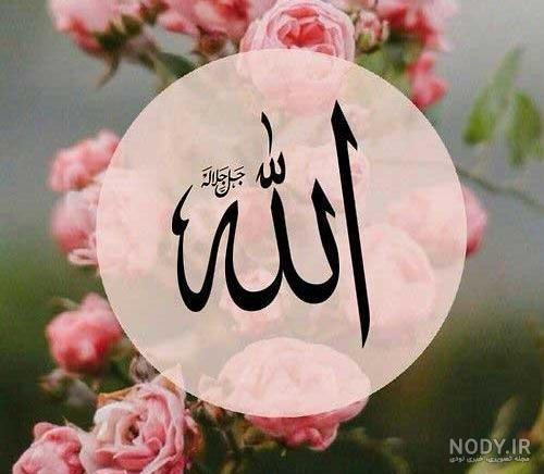 عکس گل رز و قران
