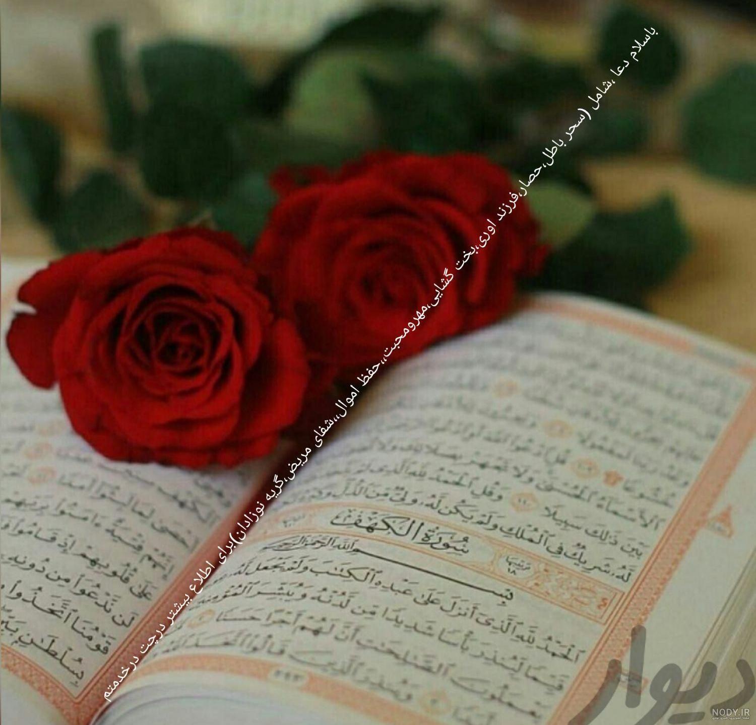عکس گل رز و قران