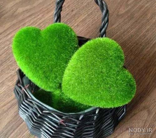 مدل سبزه عید نوروز