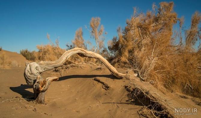 همه چیز در مورد کویر مصر (روستای مصر) و راهنمای جامع کویرگردی