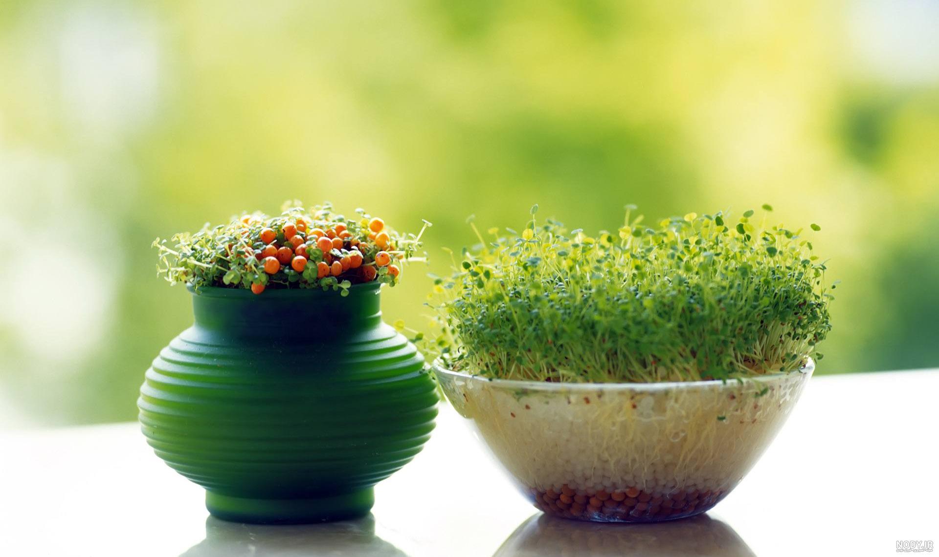 همیار گرافیک - طرح لایه باز ، آگهی ترحیم ، کارت ویزیت