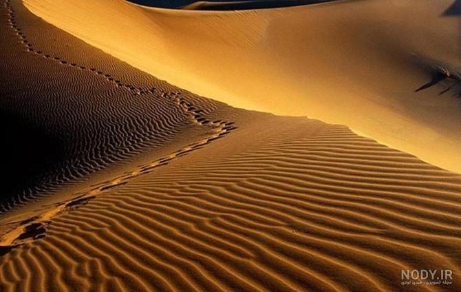 کویر مصر