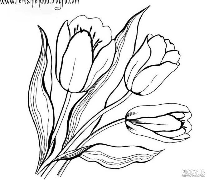 دانلود عکس گل لاله نقاشی