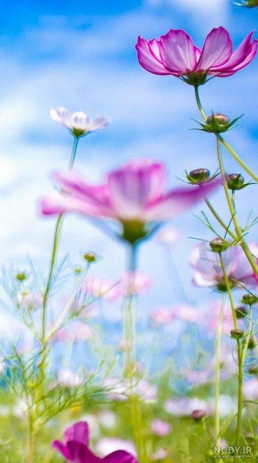 دانلود والپیپرهای جذاب هانده ارچل و دمت اوزدمیر برای تصویر زمینه ... دانلود والپیپرهای جذاب هانده ارچل و دمت اوزدمیر برای تصویر زمینه ...