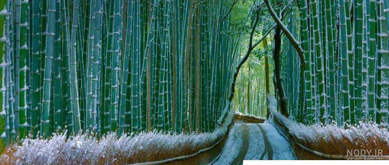 عکس های زیبا از طبیعت ژاپن عکس های زیبا از طبیعت ژاپن