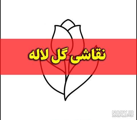 عکس طراحی گل لاله با مداد - عکس نودی