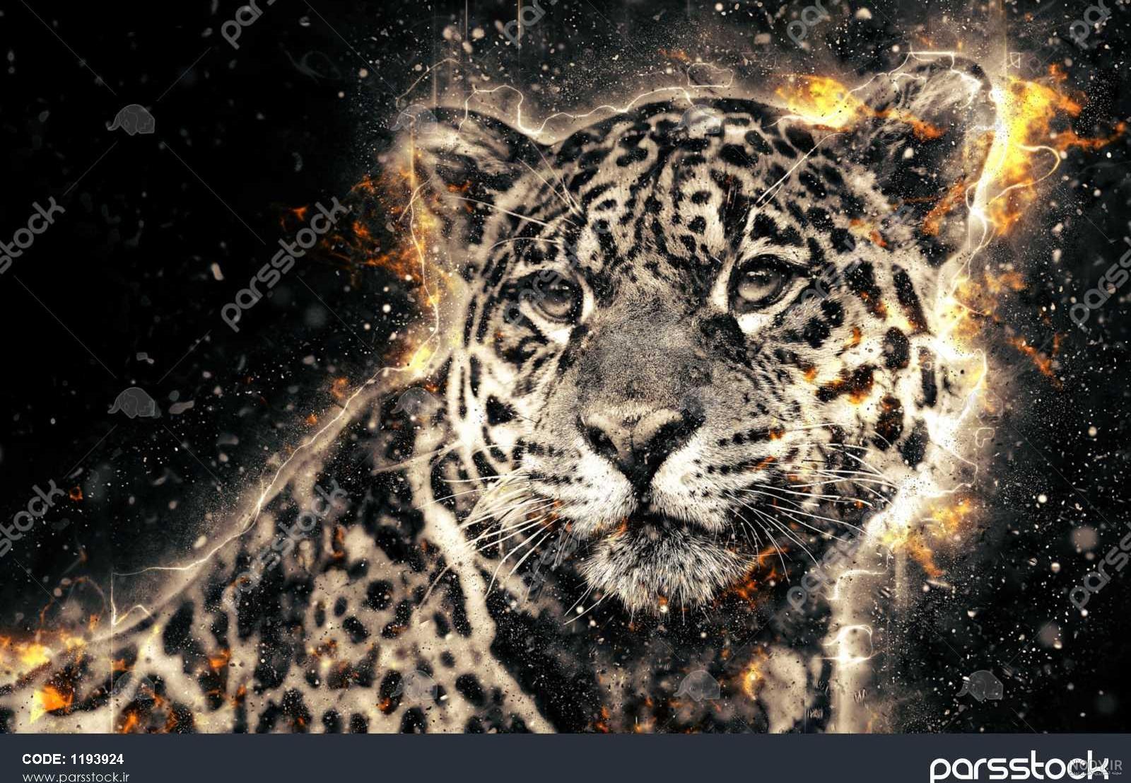 عکس پلنگ سیاه و سفید خفن برای پروفایل و تصویر زمینه HD