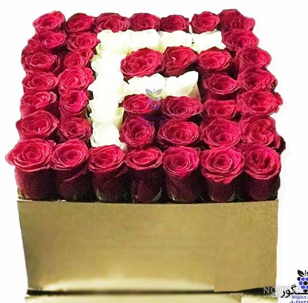 عکس گل رز با کیفیت فول اچ دی عکس گل رز با کیفیت فول اچ دی