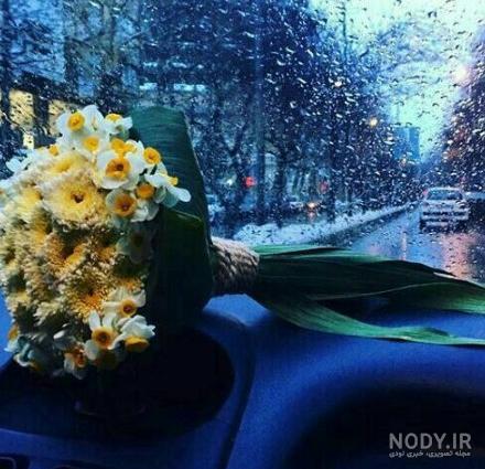 عکس گل رز داخل ماشین